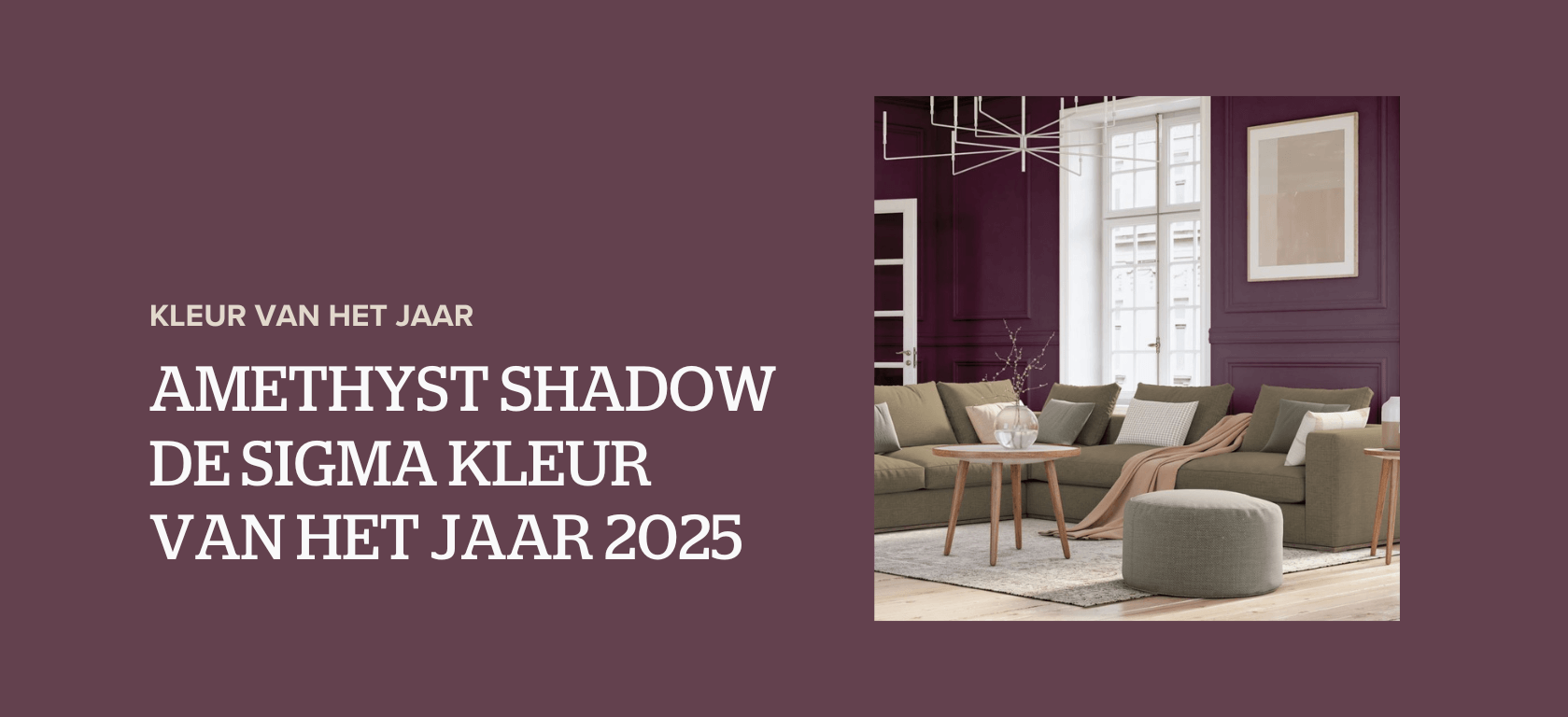 Sigma Kleur van het Jaar 2025: Amethyst Shadow